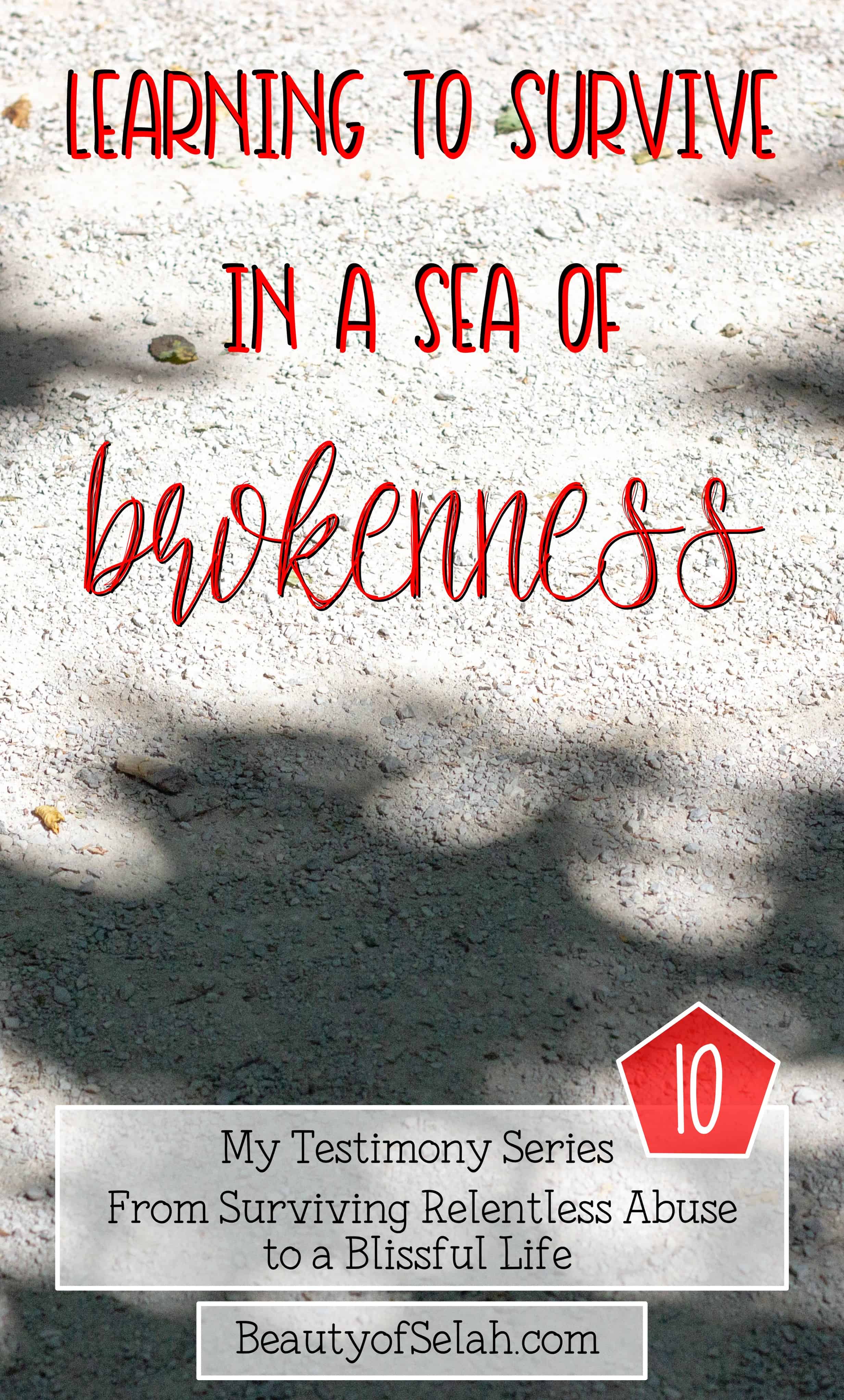 Learning to Survive in a Sea of Brokenness My testimony Series part 10